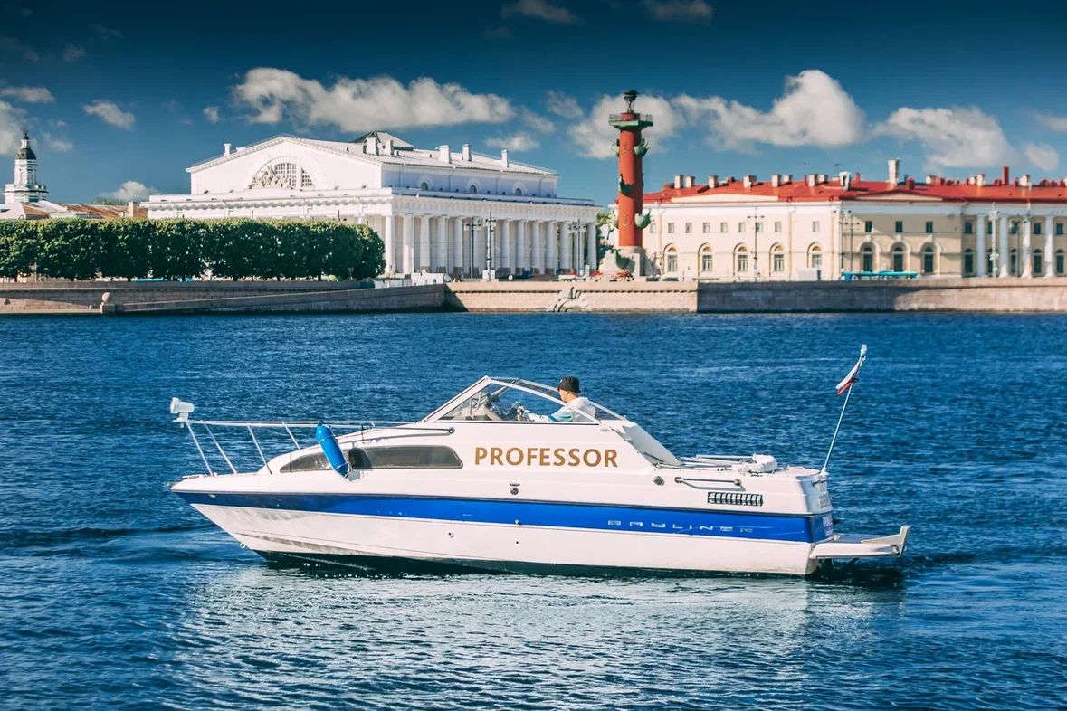 Профессор (Professor)